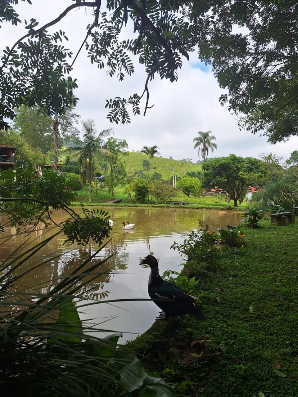 Vila Chacara Ladeira De Pedra Salesópolis Exteriér fotografie