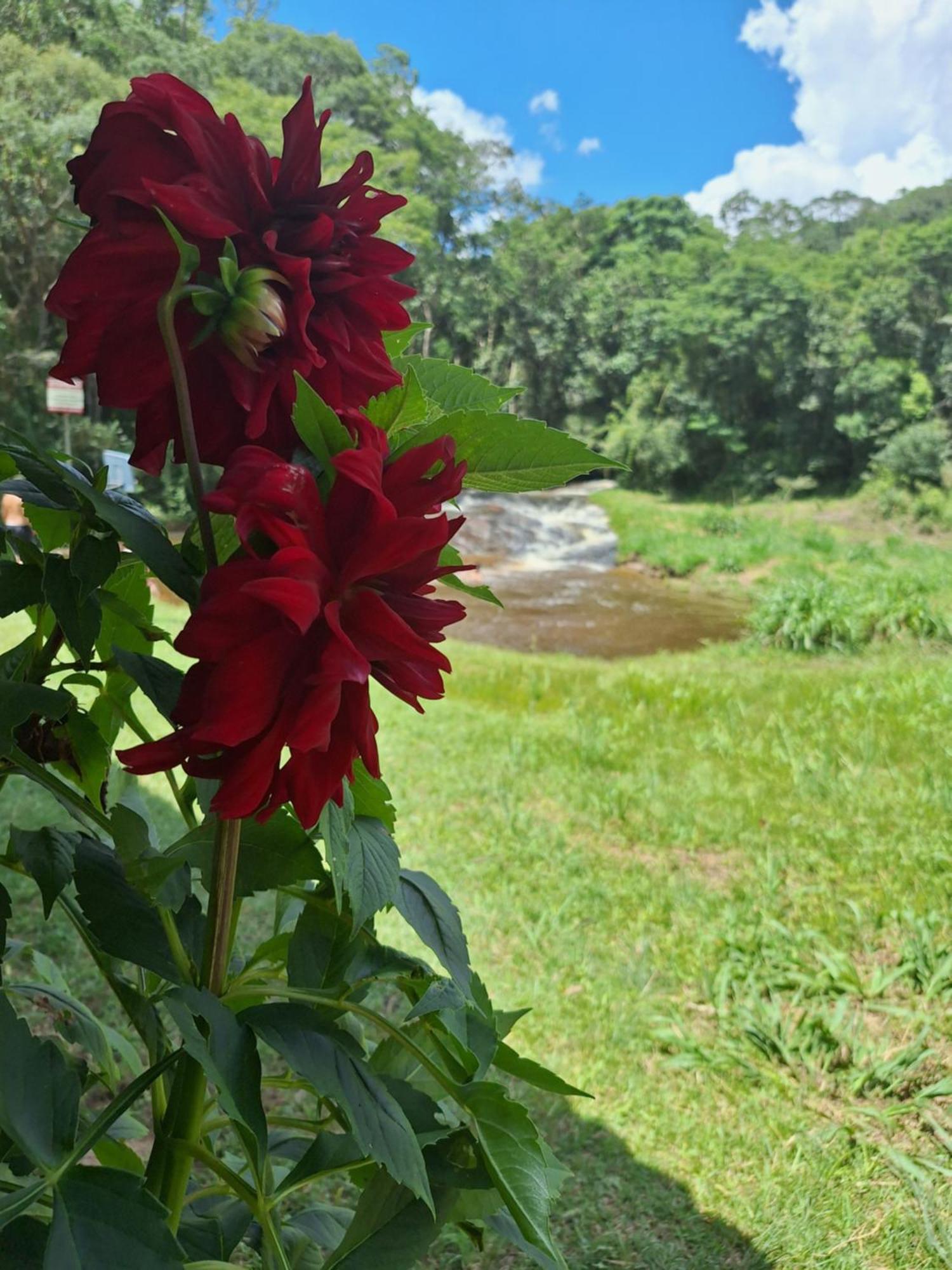Vila Chacara Ladeira De Pedra Salesópolis Exteriér fotografie